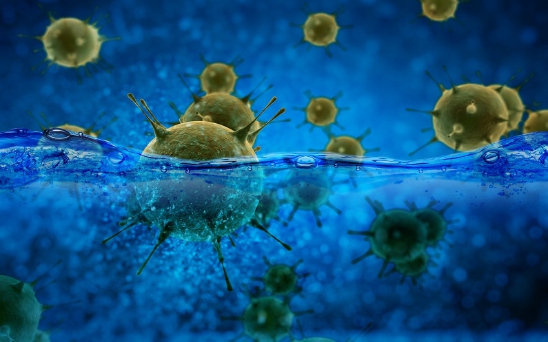 Wirusy w wodzie – co warto wiedzieć?